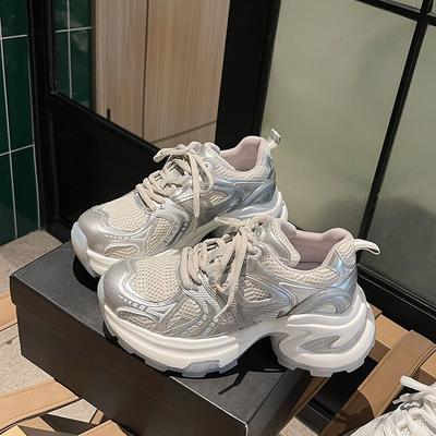 Silver Platform Dad Shoes Women's 2025 Spring and Autumn New Small Man Height Increase 5cm Breathable Mesh Niche Sports Shoes