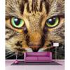 Wallpaper - Decoration - Cat - 250x250 Cm - Matte - HD Digital Printing
