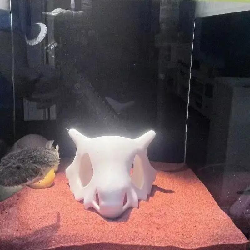 Fish Tank Oranament Aquarium Decor 3D Printed Anime Style Skull Reptile Hideouts for Terrarium Habitat 100% Safe Home Decoration