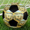 1 pz Pallone da Calcio Messi Taglia 5 Pallone da Calcetto Indoor alla Moda Colorato Gioco in Giardino - Ottimo Regalo per Appassionati di Sport HE45