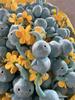 Pikmin 4 Ice Pikmin Plush Toy - All Star Series Doll