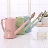 2L Long Spout Succulent Watering Can: Compact Plastic Watering Can with Spray Bottle for Home Gardens