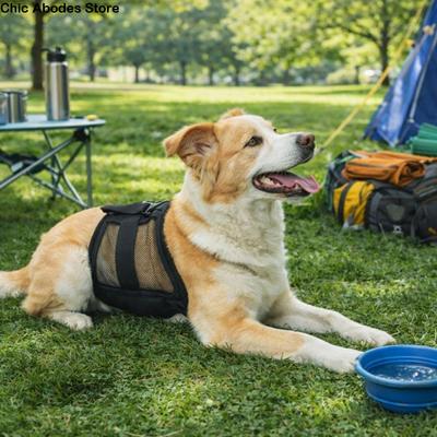 Breathable Mesh Dog Physiological Pants Anti-Harassment Reusable Politeness Belt Washable Pet Underwear Pet Supplies