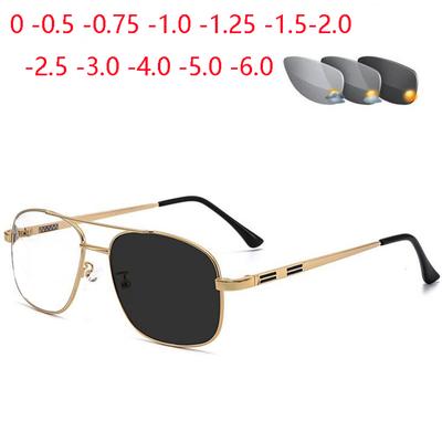 Gafas de Sol Fotocromáticas Grises de Montura Grande de Doble Puente para Prescripción Metálicas Ovaladas para Miopía Dioptría 0 -0.5 -0.75 Hasta -6.0