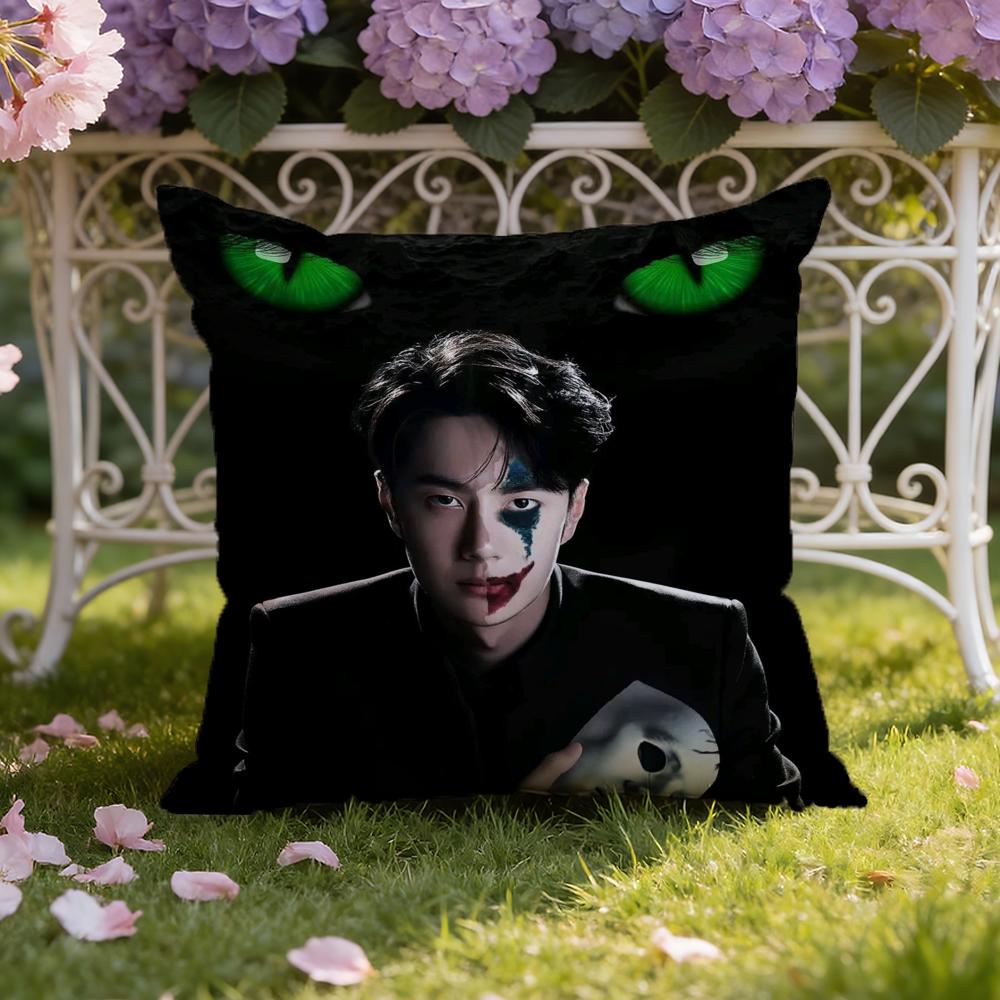 Singer W-Wang Yibo Cushion Cover Home & Car Dual-Scene Pillow Cover: Reversible For Premium Comfort