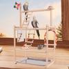 Parrot Playstand,Parrot Bird Playground,Exercise,Activity Center Perch Perch Gym Playpen for Parakeet Budgie Finch