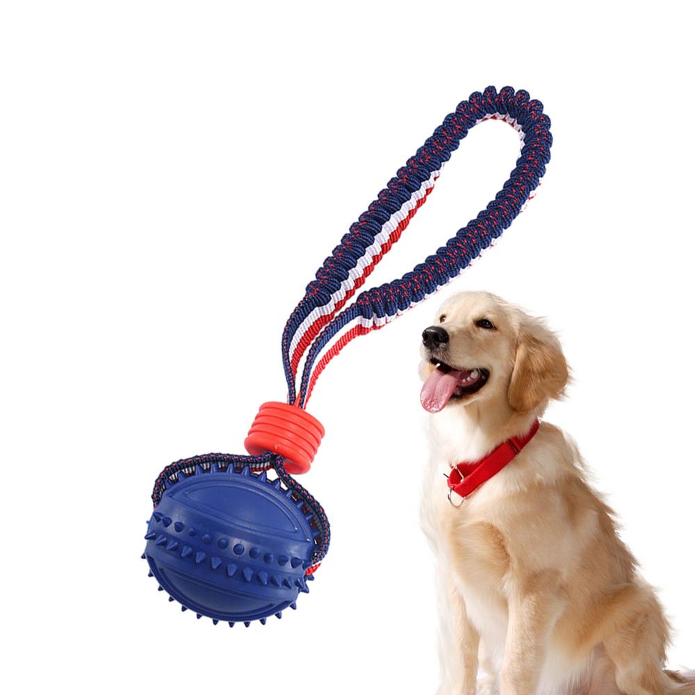 Elastic Ball For Dogs Rope Chew Teether Game Interactive Dog Toy For Animal Indoor Outdoor Ground Living Room Beach Lake