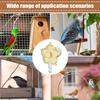 Cockatiel Foraging Toys Rotating Cage Supplies Flower Bird Slow Feeder For Home Alone Time Mental Stimulation Exercise Area