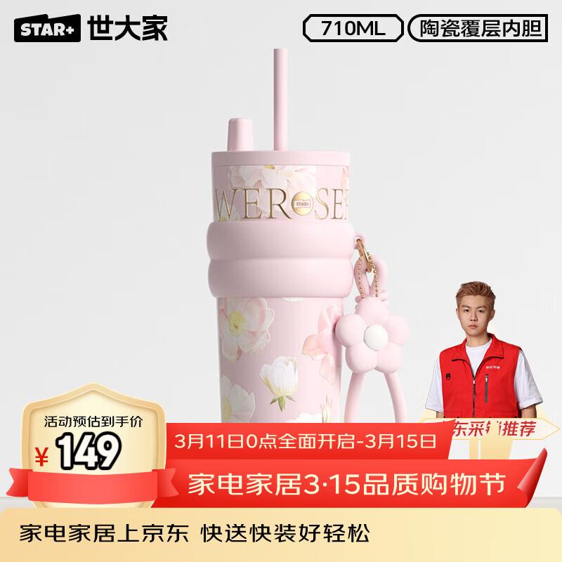 Portable Insulated Stainless Steel Straw Tumbler