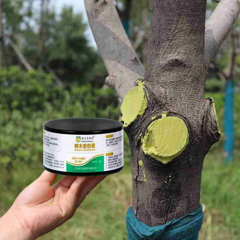 50g Bonsai Cut Paste Tree Wound Stay Hydrated Portable Compound Pruning I2K8