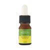 Okinawa Tamanu Face Oil 10ml