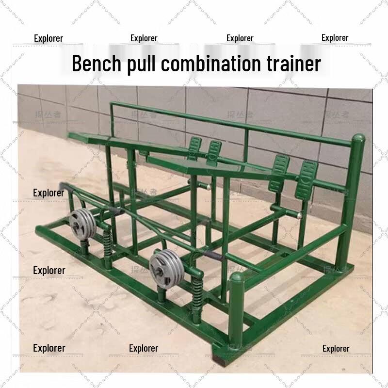 Outdoor Two-Person Fitness Trainer