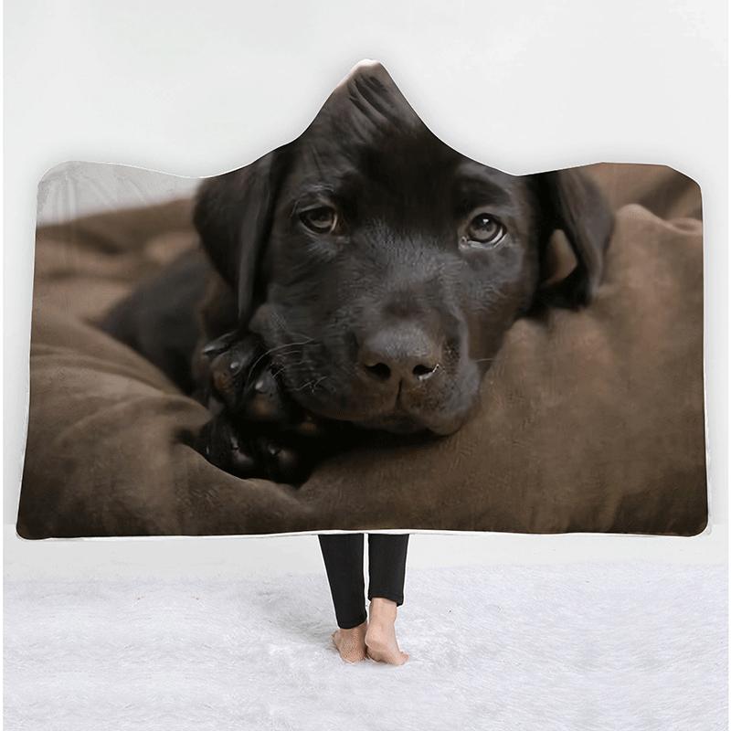 wearable dog blanket