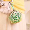 Cuscino Peluche Succulenta Stile Ins - Cuscino Creativo per Ufficio & Regalo