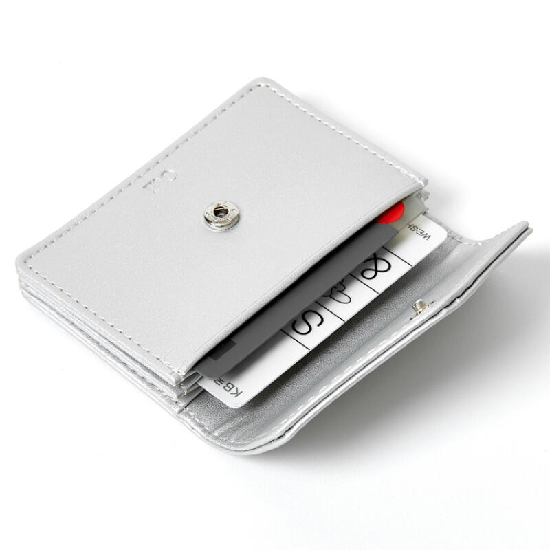 Faltenkarte Geldbörse Silber (28003164)