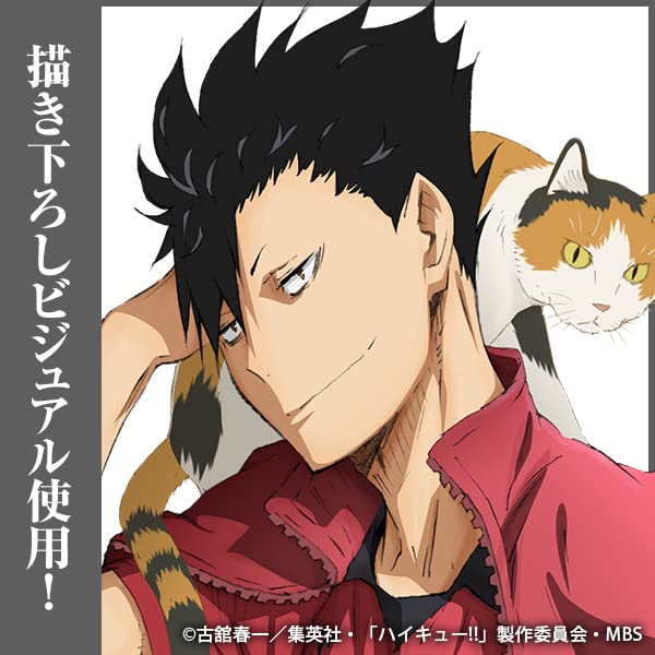 COSPA Kuroo Tetsuro Acrylic Stand [Official] Haikyu!! (Large) Ver.1.0