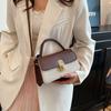 Lock design simple women's new spring fashion retro casual shoulder small square bag
