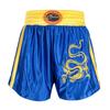 Embroidered Dragon Cycling Jersey Set Breathable Sleeveless Martial Arts Training Uniform Men Women Adults