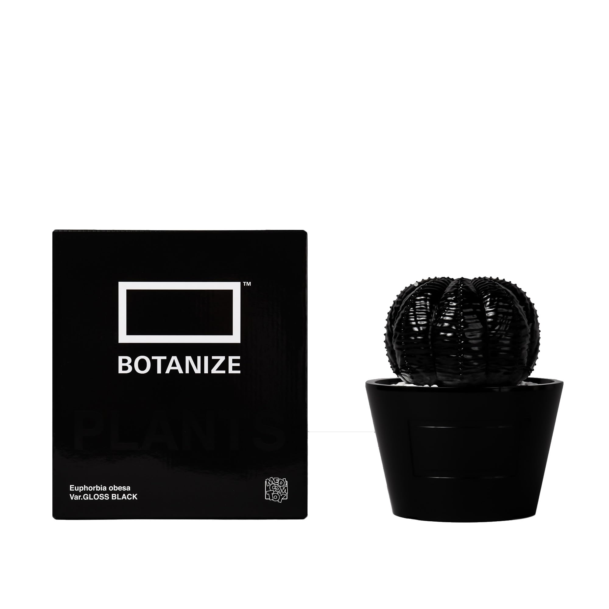 

MEDICOM TOY BOTANIZE VCD Euphorbia obesa gloss WHITE Medicom Toy BOTANIZE Collaboration Euphorbia obesa Figure × var. & (Black)