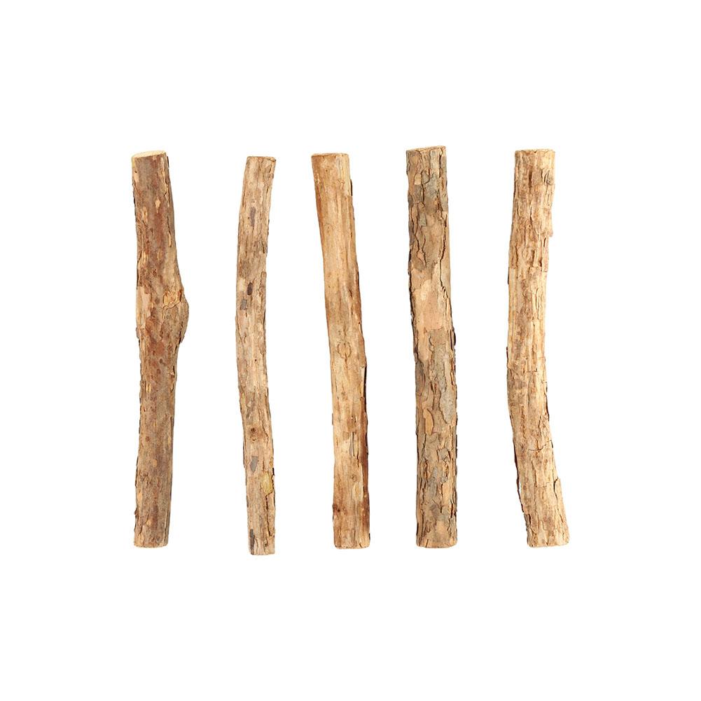 Silberwein-Sticks für Katzen Natürliche Katzenminze Kausnacks Zähne Molar Kauspielzeug für Katze Kätzchen Kitty Geschenke