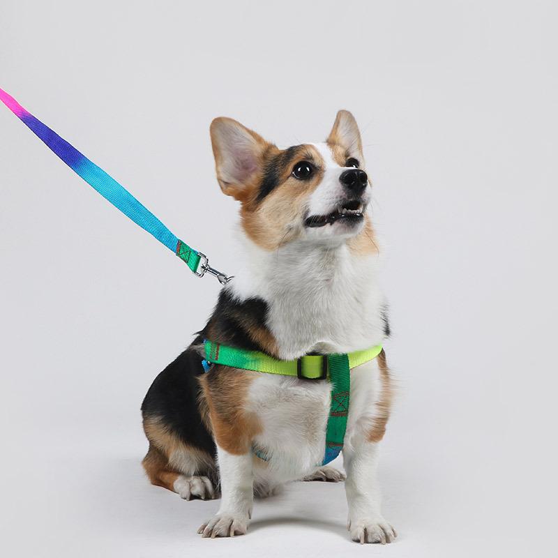 Colorful Pet Leash Rainbow Leash Cat Leash Dog Leash Chest Strap Walking Dog Leash Dog Chain