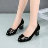2026 Temperament Ladies Heeled Shoes Office Square Heel Pumps Women's High Heels Dress Plus Size Chunky Heel Shoes for Women