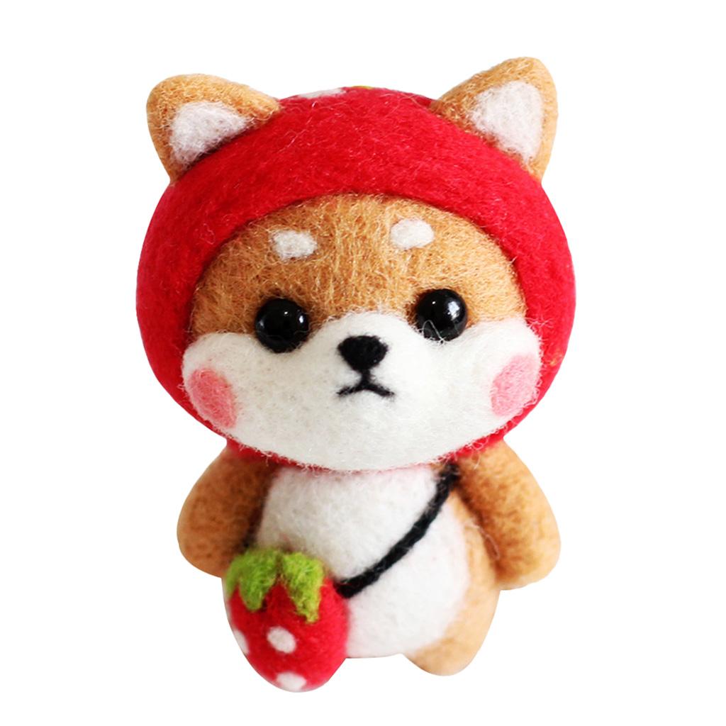 Felting Kit DIY For Beginners With