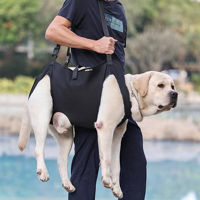 Köpek – Köpek Tasmaları ve Tasma Kayışları