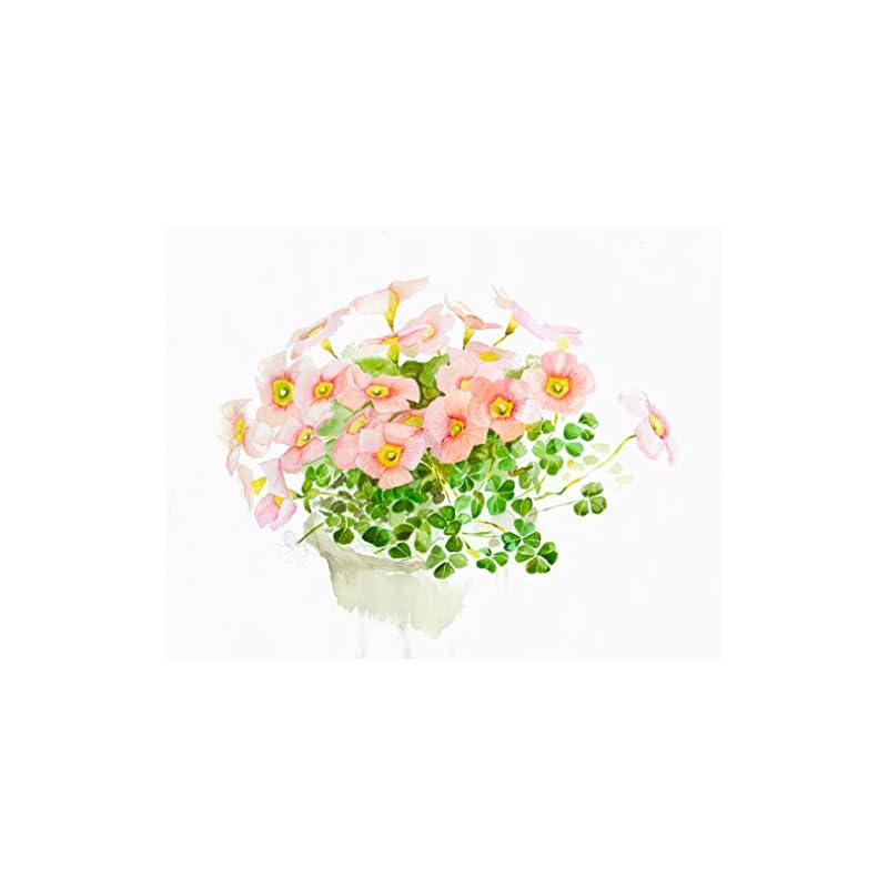 Muse Watercolor Paper White Watson Block F6 300g White 15 Sheets HW-306 F6