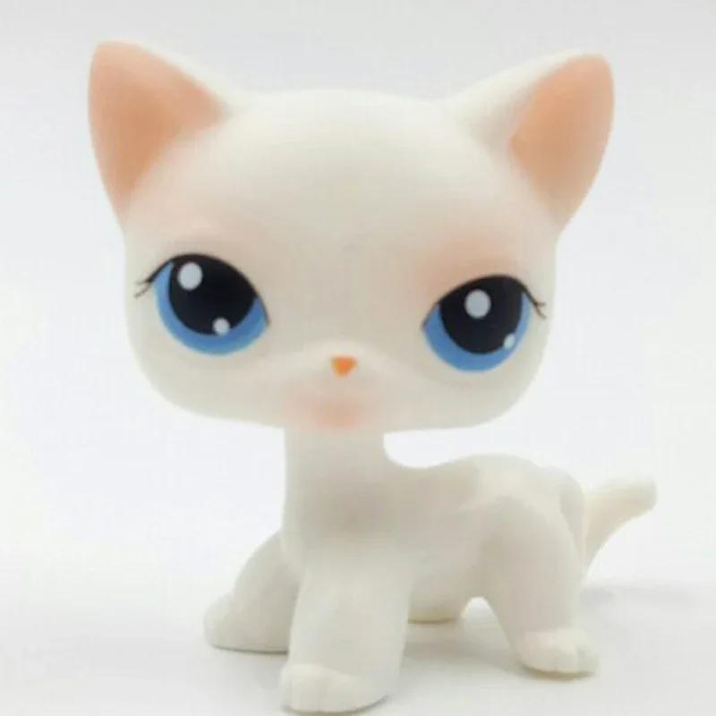 Rare Littlest Pet Shop Lps Toy Toy Mini Stands Short Hair Kitten Old Figures Collection Al Bobble Head Toy