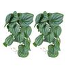 2PCS Artificial Water Plant Simulation Vine Lifelike Plastic Leaves Decoration with Suction Cup for
