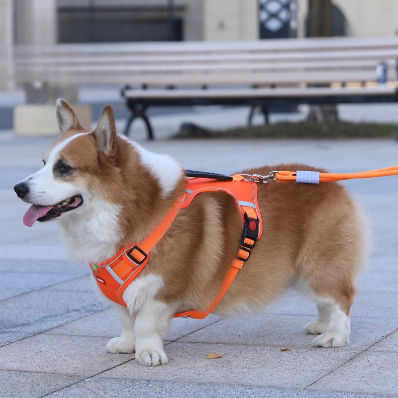 

Взрывозащищенный поводок-жилет для собаки Собака среднего размера Французский бульдог Корги Регулируемый нагрудный ремень Собачий поводок Собачья цепь XS