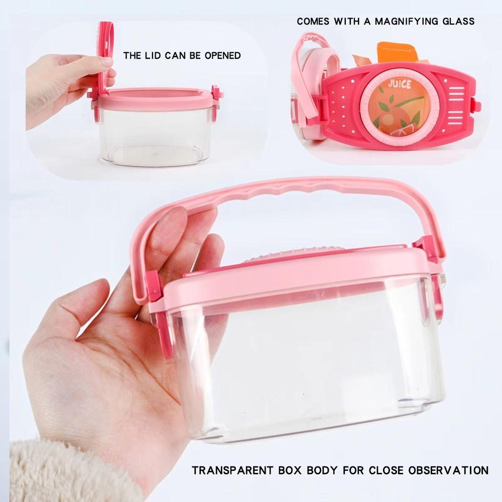 Clip Toy Outdoor Adventure Set Tweezers Insect Cage Collector  Natural Exploration