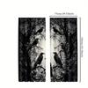 2pcs Gothic Raven Pattern Curtains   Blackout Rod Pocket Window Drapes  Halloween Decor   Home Decor