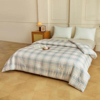 Muji Thermostatic Warm Fiber Quilt Pro 2.0