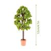Dollhouse 1:12 Miniature Rose Tulip Hyacinths Sunflower Fruit Tree Potted Green Plant Flower Tree Plants Bonsai Model Home Decor