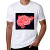 Night Gardening  Rose Burst TShirt t shirts with prints TShirt
