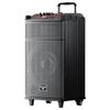 Newmine N520 Portable Bluetooth Karaoke Trolley Speaker (CN Version)