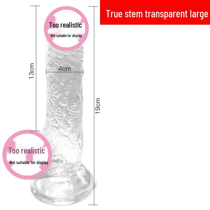 Long Love Transparent Realistic Dildo & Anal Plug for Women