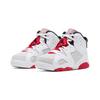 Jordan 6 Retro Hare PS 384666-062