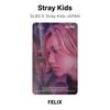 Stray Kids SLBS X Stray Kids JAPAN Offizielle Fotokarte