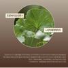 [SKIN1004] Madagascar Centella Probio-Cica Bakuchiol Eye Cream 20ml