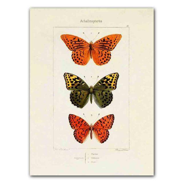 Nordic RETRO Art Canvas Painting Butterfly Insect Evolution Poster Living Room Corridor Wall Painting Home Decoration Mural No Frame
