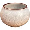 Lilang Ceramic Crackle Glaze Flower Pot