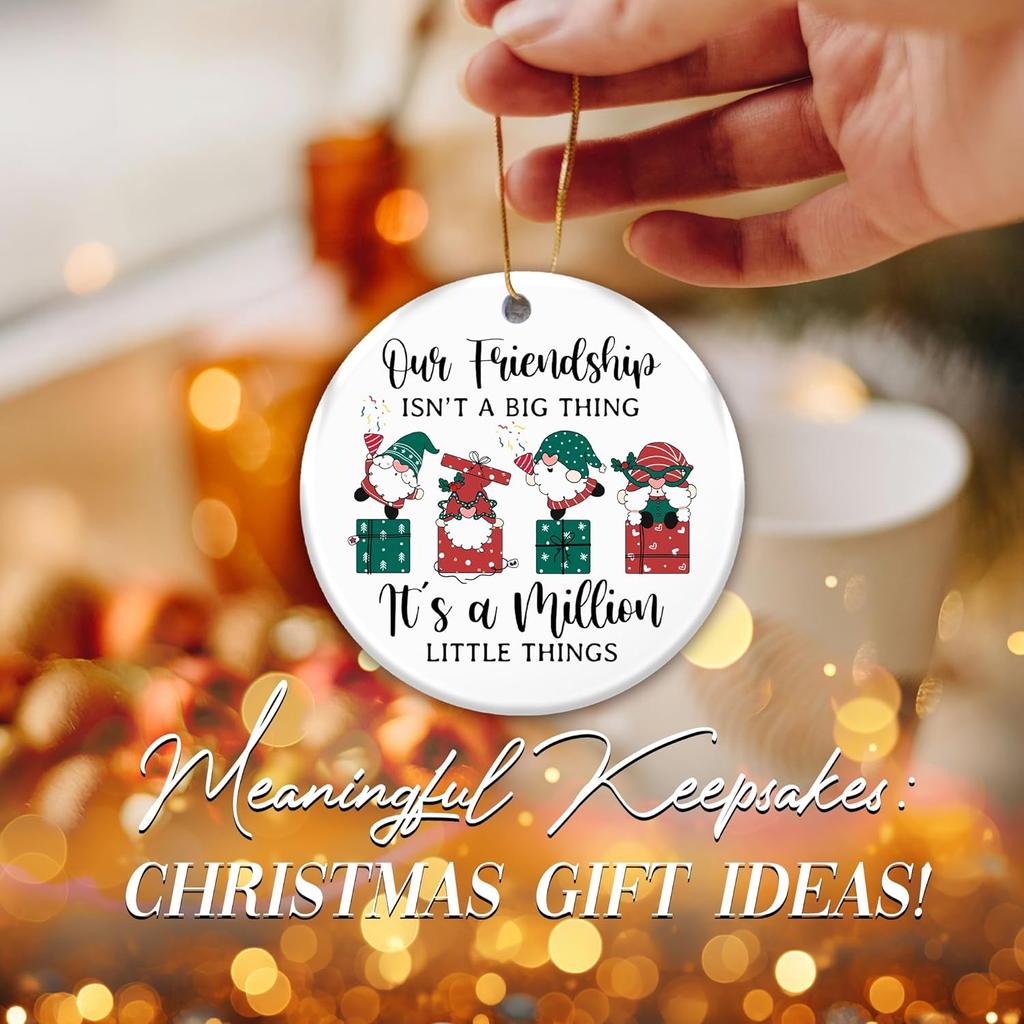 Friendship Ornament 2025 – Funny Best Friend Ornament, Gnome Gift Exchange – Our Friendship Isn’t a Big Thing, It’s a Million Little Things