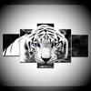 Blue Eyed White Tiger White Tiger Eyes 5 Panel HD Print modern art painting wall posters Canvas For home living room decoration