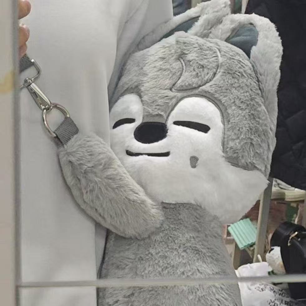 Straykids POP UP Doll SKZOO Plush Bag SKZ  Hyunjin Bangchan Leeknow Han Felix Seungmin I.N Changbin