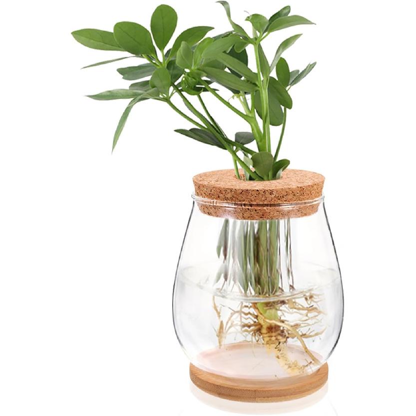NOLITOY Propagation Vases for Plants, 4.5inch Glass Jar Planters for Hydroponic Cutting Flowers, Plant Station Bud Vases for Centerpieces Home Office