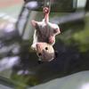 Cute Rearview Mirror Car Decor Knitted Possum Auto Charm Ornaments Handmade Key Chain Pendant Car Interior Accessories