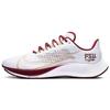 Air Zoom Pegasus 37 Florida State CZ5377-100